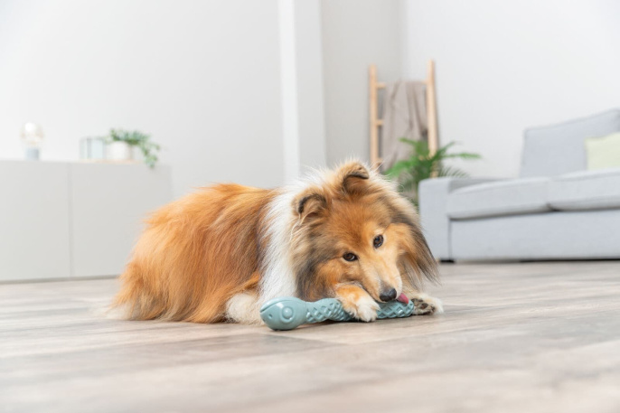 Игрушка для лакомств TRIXIE "Змейка" (42 см)