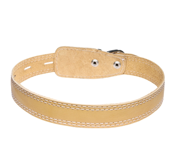 Ошейник кожаный одинарный Gamma  (58 х 2.5 см)