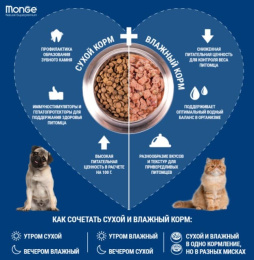 Влажный корм для котят Monge Grill Kitten (лосось)