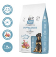 Сухой корм для щенков Brit Care Dog Puppy&Junior L Healthy Growth (индейка, ягненок) (12 кг)