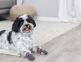 Носки для собак TRIXIE (2 шт)