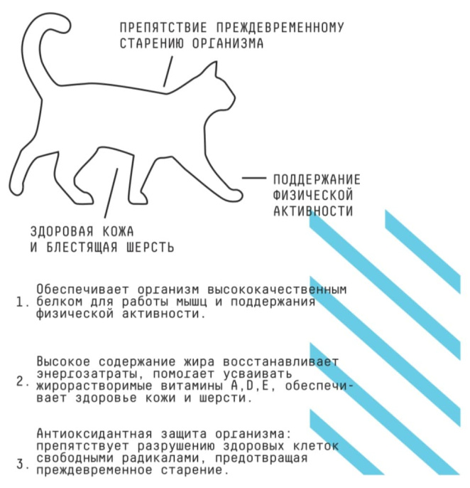 Сухой корм для кошек AJO Basic Line Аctive Adult Cat (400 гр)