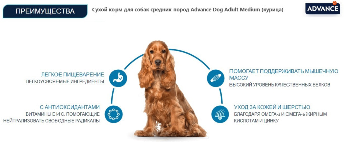 Сухой корм для собак средних пород Advance Dog Adult Medium (курица) (3 кг)