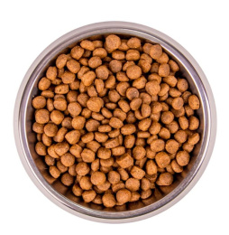 Сухой корм для кошек Monge Cat Bwild Grain Free Large Breed (буйвол)
