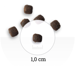 Сухой корм для кошек Bon Appetit CAT Adult Sensitive (лосось, курица)