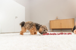 Игрушка для собак TRIXIE "Колбаска на верёвке"