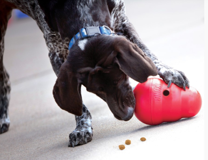 KONG Игрушка для собак  Wobbler (19 см)