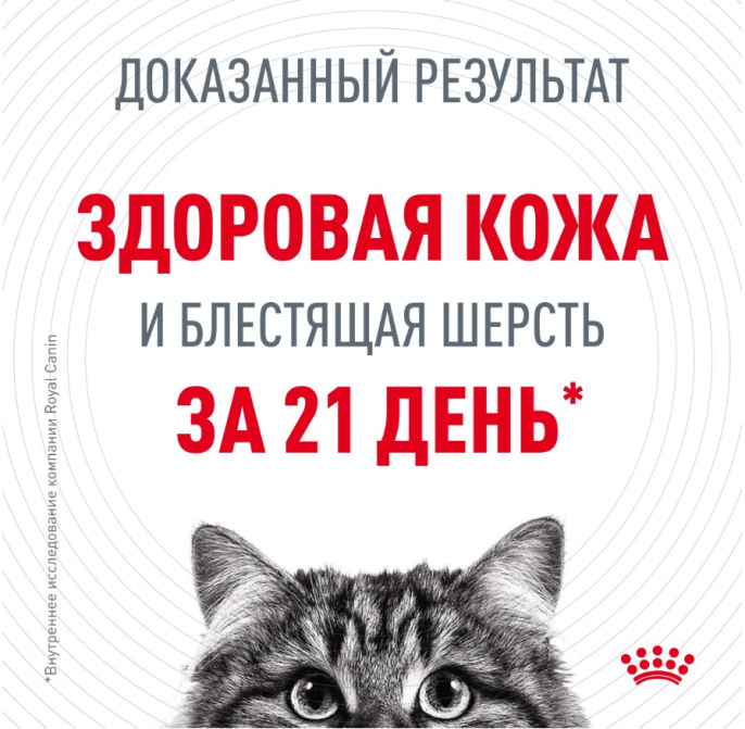 Влажный корм для кошек Royal Canin Hair & Skin Care (в желе) (85 гр*28 шт)