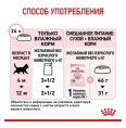 Влажный корм для котят Royal Canin Kitten Instinctive (желе) (85 гр*28 шт)