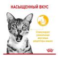 Влажный корм для кошек Royal Canin Sensory Taste (соус) (85 гр*12 шт)