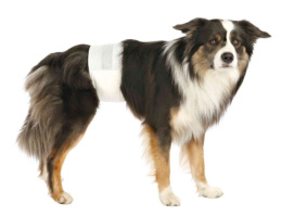 Подгузники для кобелей TRIXIE 12 шт