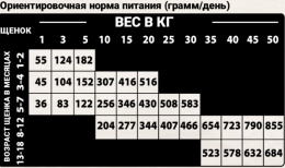 Сухой корм для собак Natural Woodland Ocean Diet All Age (тунец, белая рыба)