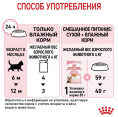 Влажный корм для котят Royal Canin Kitten Sterilized (в желе) (85 гр*12 шт)