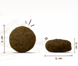 Сухой корм для собак Bosch Junior (ягненок и рис)