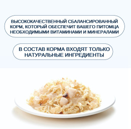 Консервы для кошек Wanpy Cat (курица, гребешоки)