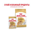 Паштет для собак Royal Canin Pomeranian (85 гр*12 шт)