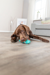 Игрушка для собак TRIXIE "DENTAfun Bone" со вкусом мяты