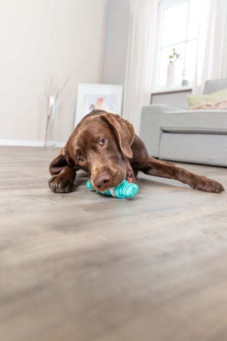 Игрушка для собак TRIXIE "DENTAfun Bone" со вкусом мяты (11 см)