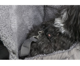 TRIXIE Рюкзак-переноска для собак Molly, 25 х 38 х 17 см