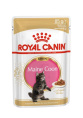 Влажный корм для котят Royal Canin Kitten Maine Coon (соус) (85 гр*12 шт)