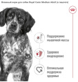 Влажный корм для собак Royal Canin Medium Adult (в паштете) (410 гр.)