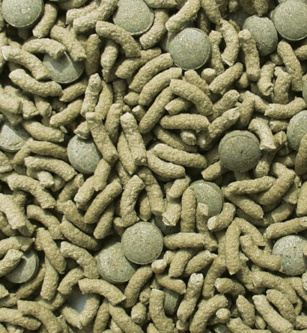 Корм для сухопутных черепах SERA Raffy Vital (10 л (1,7 кг))