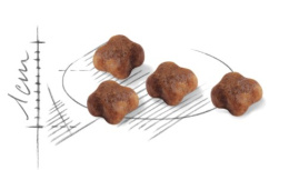 Сухой корм для кошек Royal Canin Mother&Babycat