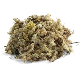 Субстрат для рептилий "Мох сфагнум" 40305XF 100г (83965005)