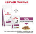 Сухой корм для собак Royal Canin Renal Small Dog (0,5 кг)