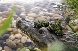 Остров для акватеррариума Exo Terra Крокодил PT3067 (H230674)