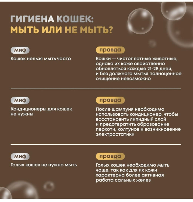 Шампунь для короткой и средней шерсти для кошек Iv San Bernard Just for cats Apricot (1 л)