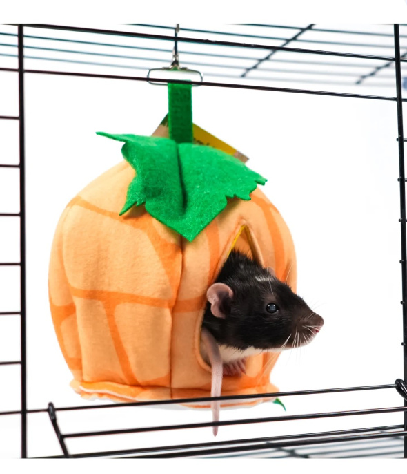 Домик для грызунов Bambini Pets Тыковка