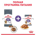 Влажный корм для кошек Royal Canin Appetite Control Care (соус) (85 гр*12 шт)