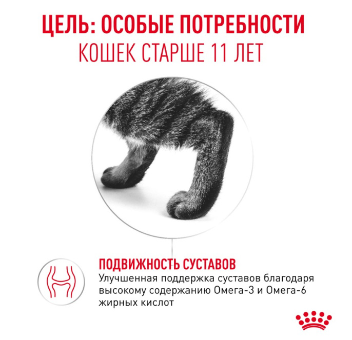 Сухой корм для пожилых кошек Royal Canin Ageing 11+ (0,4 кг)