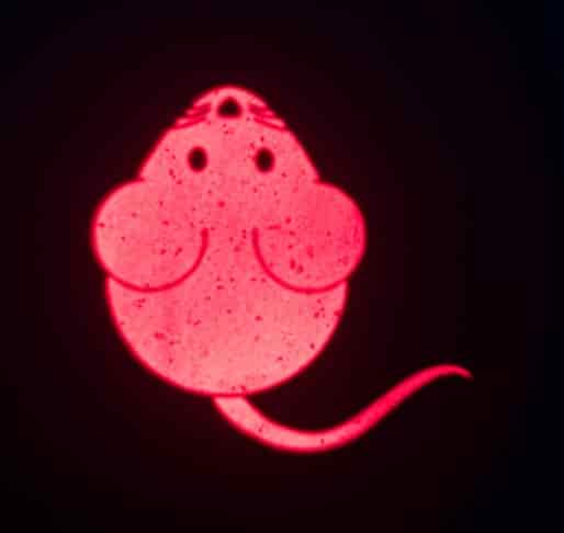 Лазерная указка с USB зарядкой "Мышка" TRIXIE 8.5 см