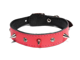 Ошейник-миди кожаный двойной с расширением и шипами Gamma