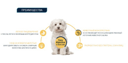 8410650582849-1