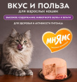Снимок экрана 2026-08-13 223940