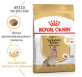 Сухой корм для собак Royal Canin Yorkshire Ageing (0,5 кг)