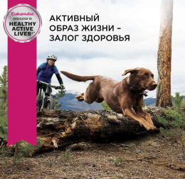 Сухой корм для собак Eukanuba Adult Large Breed (птица)