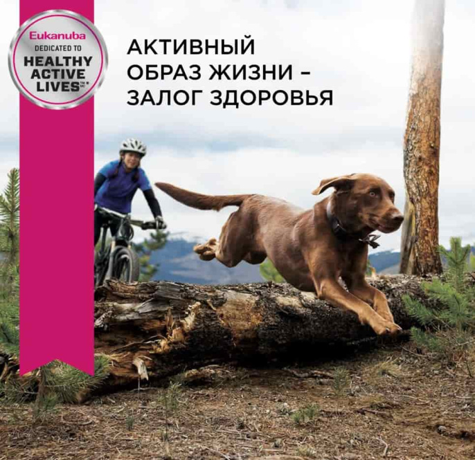 Сухой корм для собак Eukanuba Adult Large Breed (птица) (3 кг)