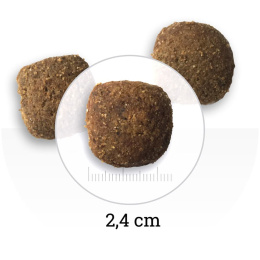 Сухой корм для собак крупных пород Bon Appetit DOG Adult Maxi (курица, рис)