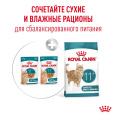 Влажный корм для пожилых кошек Royal Canin Ageing 11+ (кусочки в желе) (85гр.х12 шт)