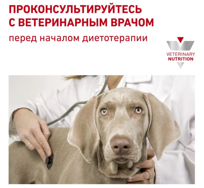 Сухой корм для собак Royal Canin Urinary S/O Dog (2 кг)