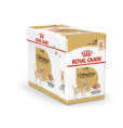 Паштет для собак Royal Canin Chihuahua Adult (85 гр*12 шт)