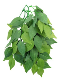 Растение "Фикус" TP002 300 мм Repti-Zoo (84045013)