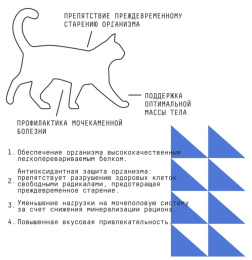 Сухой корм для кошек AJO Basic Line Grand Master Adult Cat