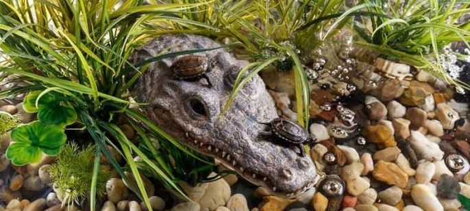 Остров для акватеррариума Exo Terra Крокодил PT3067 (H230674)