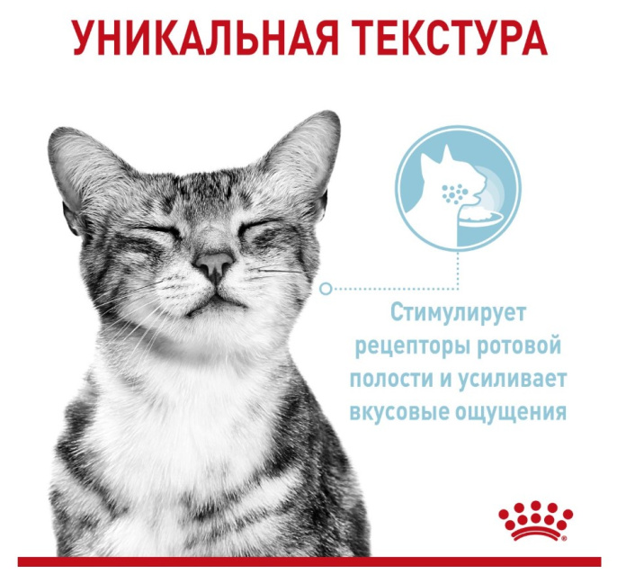 Влажный корм для кошек Royal Canin Sensory Feel (соус) (85 гр*12 шт)