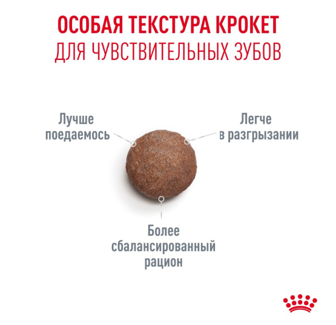 Сухой корм для очень пожилых кошек Royal Canin Ageing 15+ (0,4 кг)
